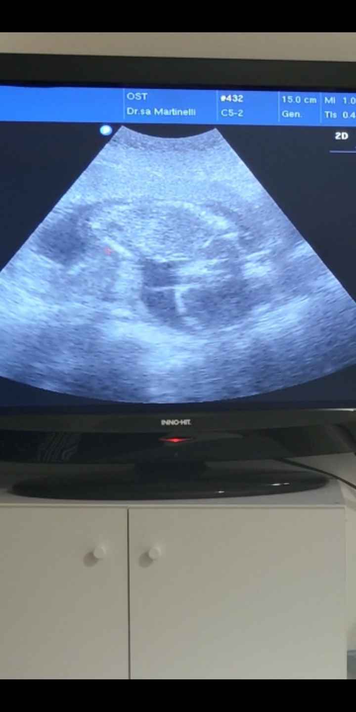 Future mamme luglio 2023 - 1