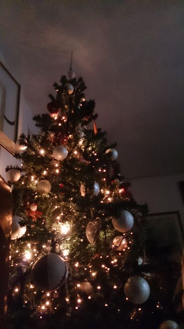 Il vostro albero di Natale! - 2