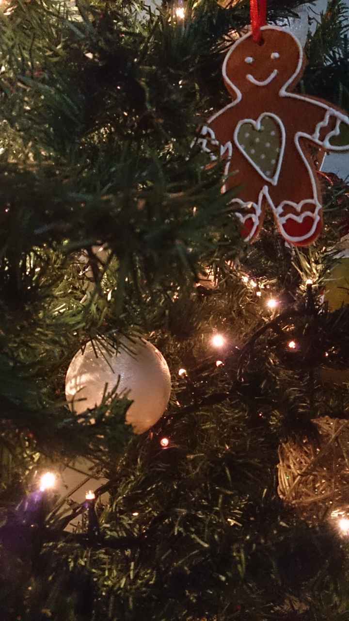Il vostro albero di Natale! - 1