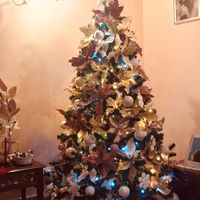 Avete mai fatto l'albero insieme? - 1