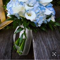 Colore matrimonio - 1