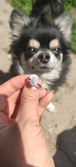 Anelli fidanzamento? - 1