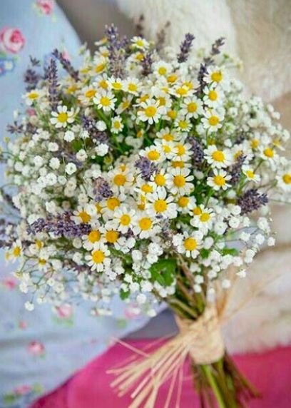 Bouquet erbe aromatiche - 1