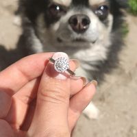 Anelli fidanzamento? - 1