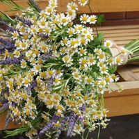 Bouquet erbe aromatiche - 1