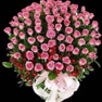 Farman