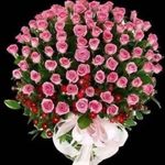 Farman