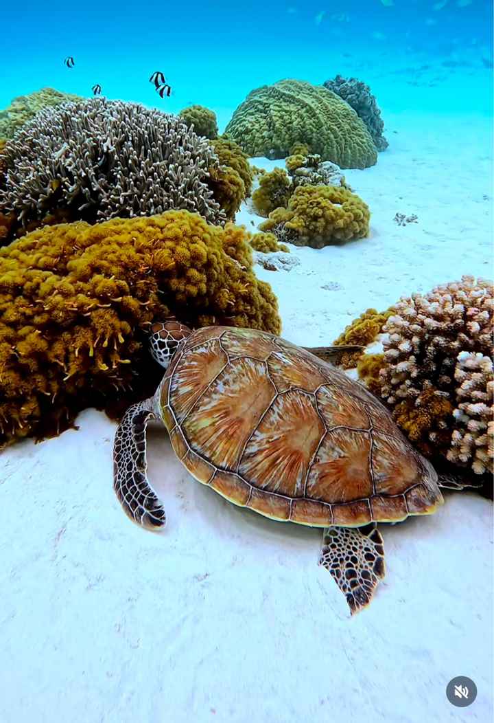 Luna di Miele a Giugno - 1