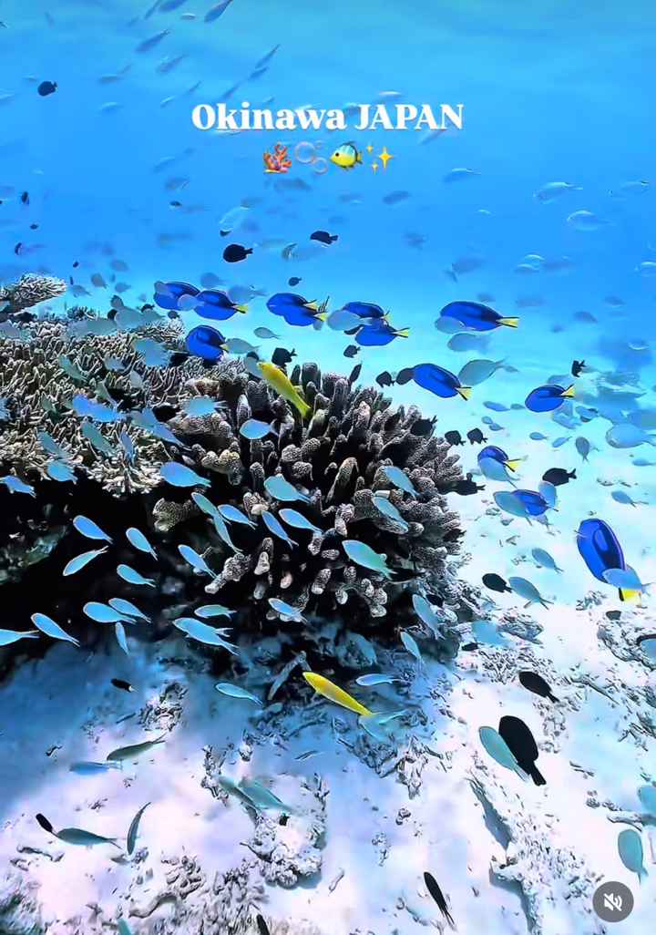 Luna di Miele a Giugno - 2