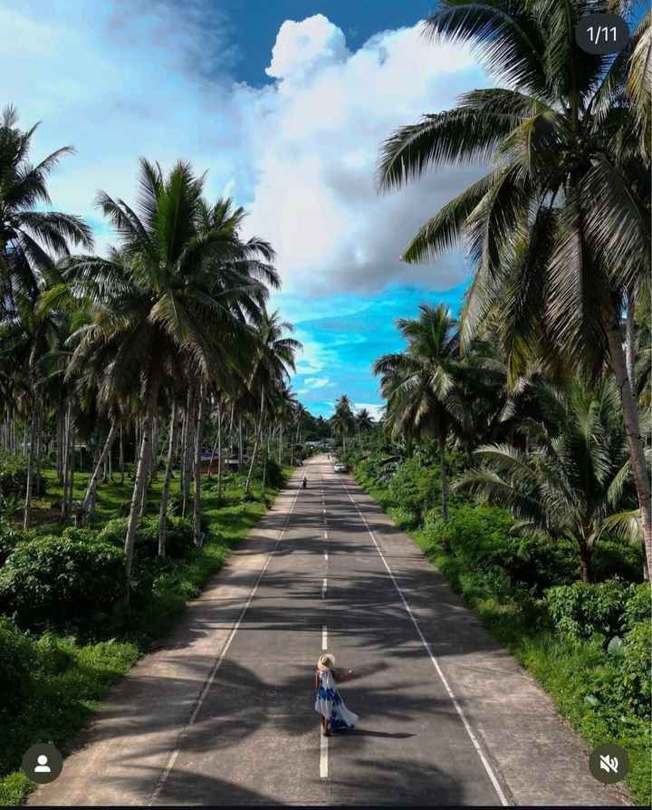 Luna di Miele a Giugno - 3