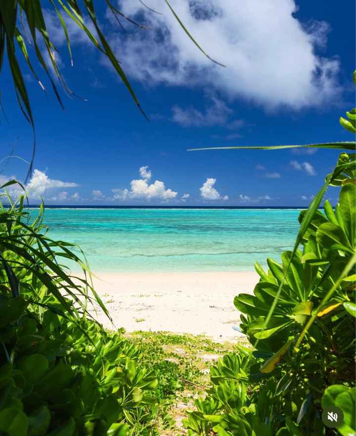 Luna di Miele a Giugno - 4