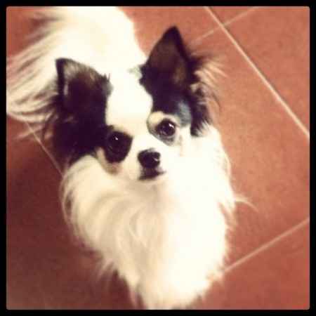 il nostro Bambino peloso.. 