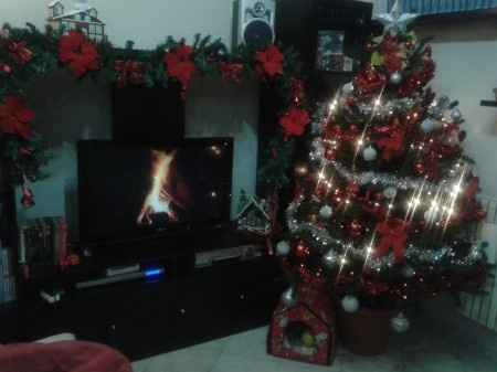 Pubblichiamo la foto dei nostri alberi!! ;) - 1