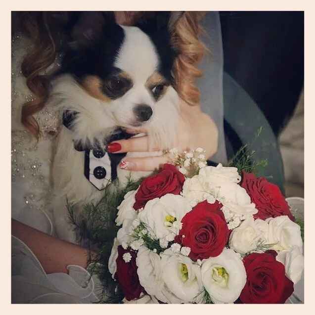 Cuccioli al matrimonio: vestiti a tema sì o no?  - 1