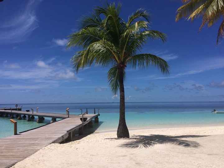 Destinazione un po strana maldive/seychelles - 3