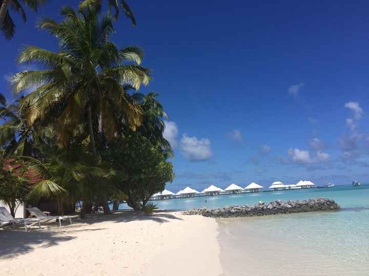 Destinazione un po strana maldive/seychelles - 2