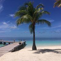 Resort maldive - 1