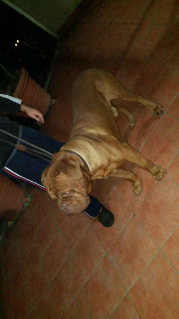 Io....luiii....e il nostrooo totÒ? - 3