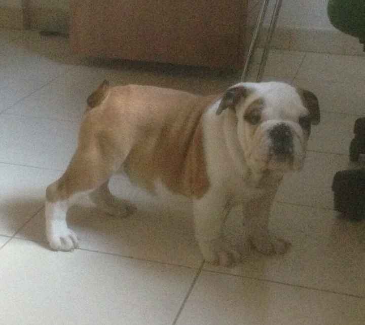 Io....luiii....e il nostrooo totÒ? - 2