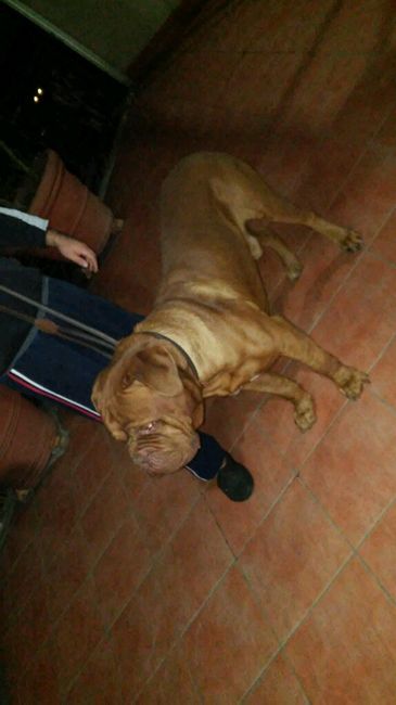 Io....luiii....e il nostrooo totÒ? - 3