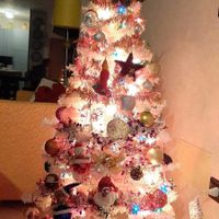 Avete mai fatto l'albero insieme? - 1