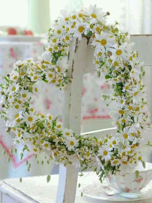 Bouquet di margherite? - 4