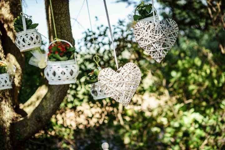 Bomboniera pianta grassa milano - 1