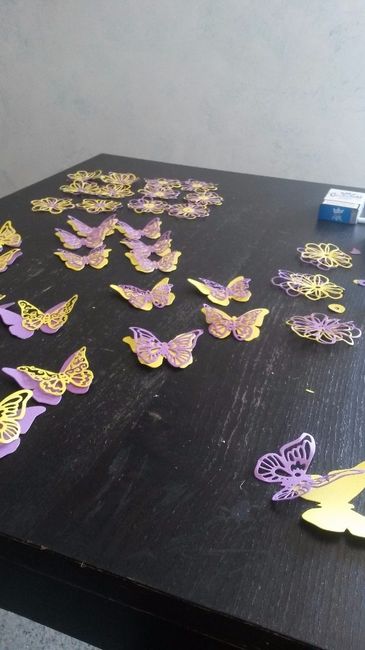 farfalle e margherite