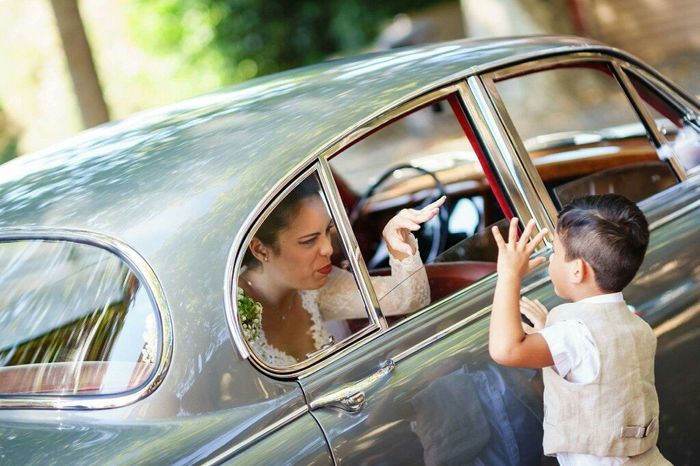 Damigelle capricciose - 2