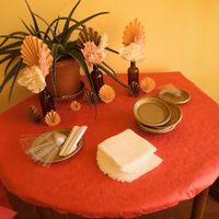 Come hai fatto la proposta ai testimoni? - 2