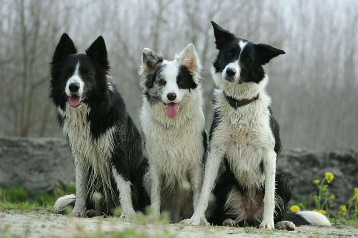 Finalmente marito e moglie. - 1