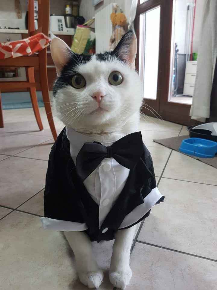 Ci presentate i vostri animali? 🐕 - 1