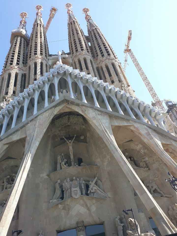 La mia luna di miele in crociera mar Mediterraneo - 15