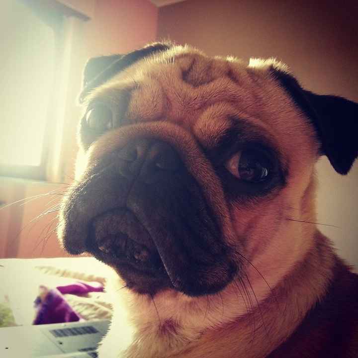 L'Amore delle nostre vite