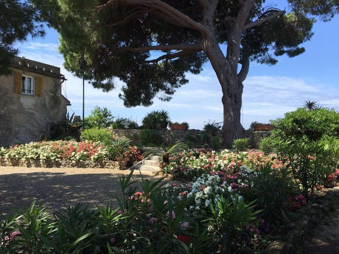 Ecco la nostra location - 2