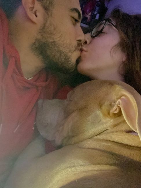 Il nostro amico a quattro zampe si chiama... 1