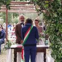 2 ottobre 2020 e un golfino tortora - 1