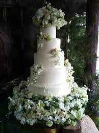 Matrimonio a tema Twilight - 4