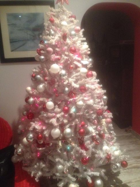 Il nostro albero natalizio