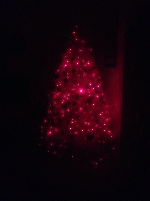 Il nostro albero natalizio