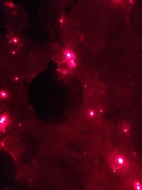 Il nostro albero natalizio