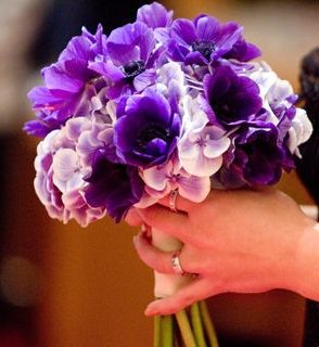 ...................................