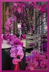 ..............................