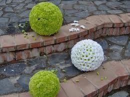 .............................