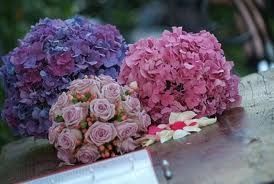 ................................