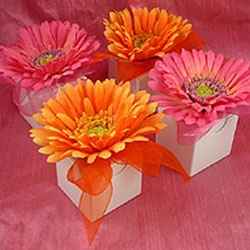 .....................................