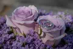 .........................................