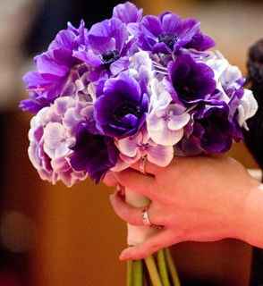 ...................................