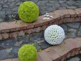 .............................