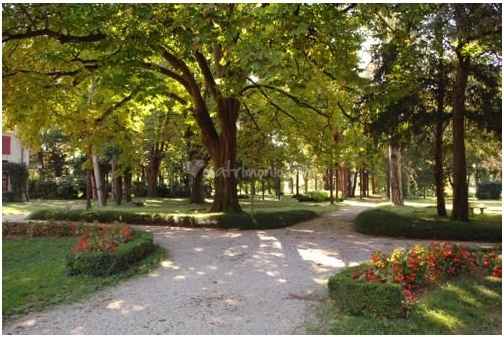 il parco dove mi sposerò